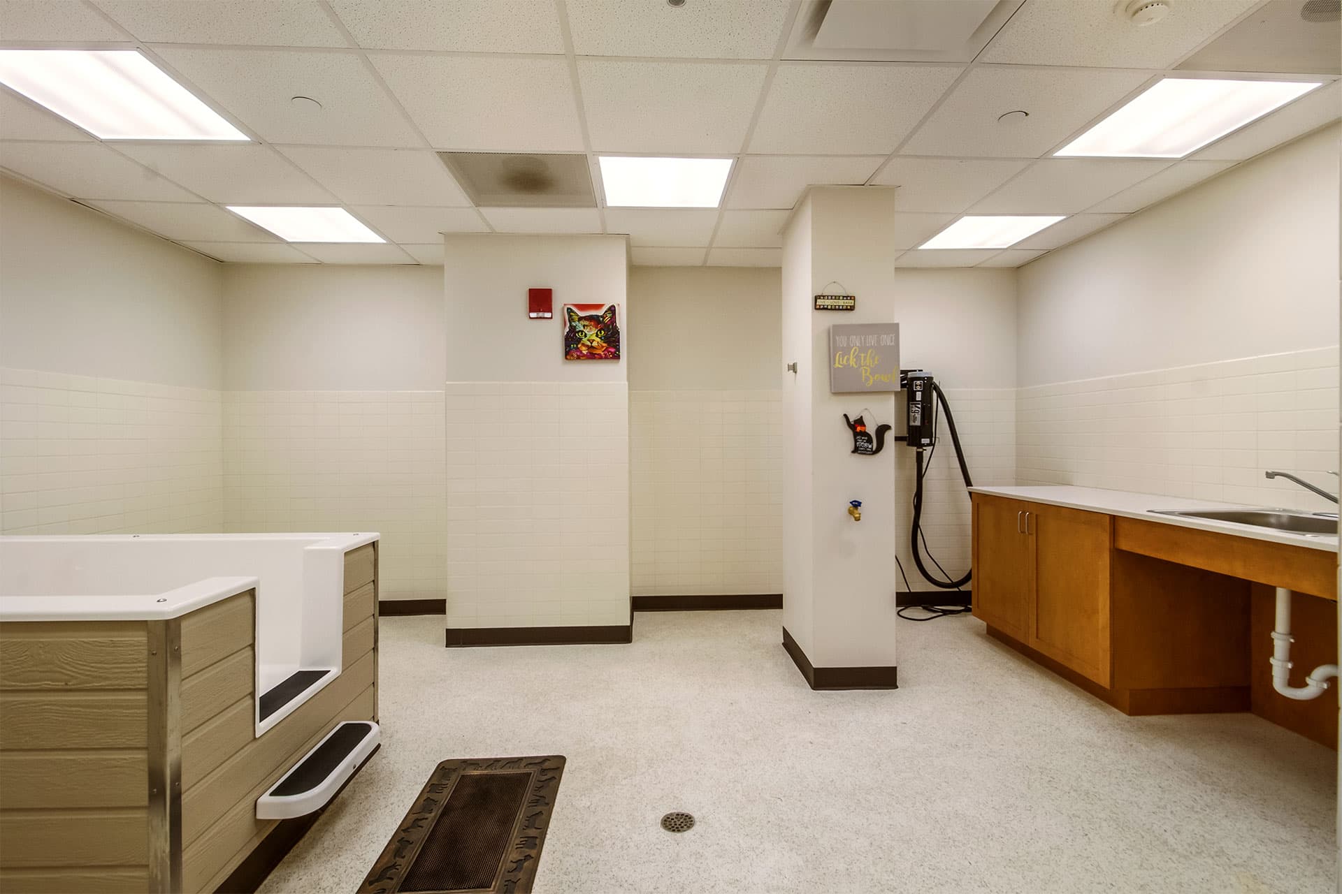 Strathmore Apartments Luxury Apartments for Rent in Downtown Detroit, MI 15 of 15