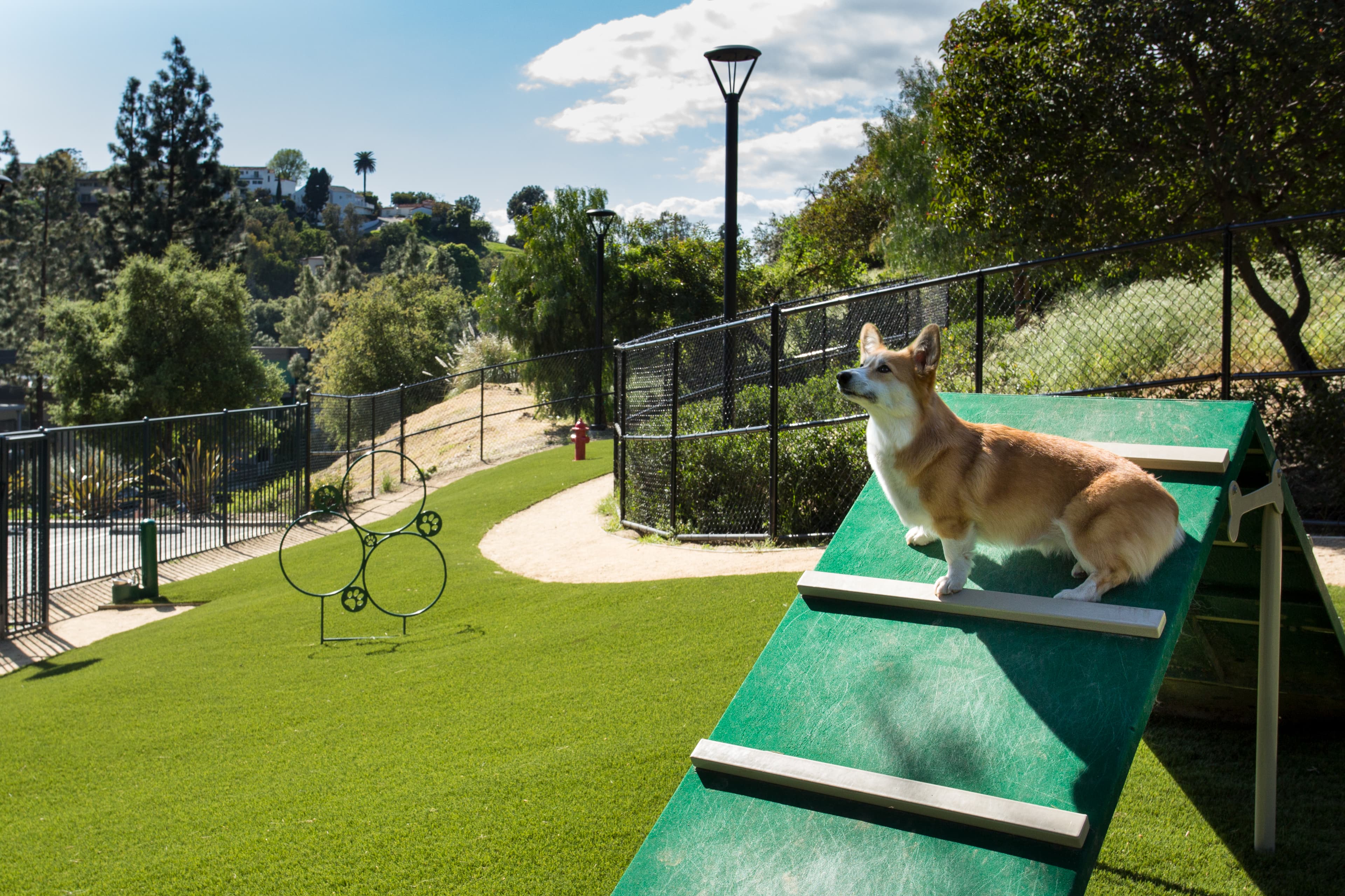 Ava Toluca Hills 37 of 41