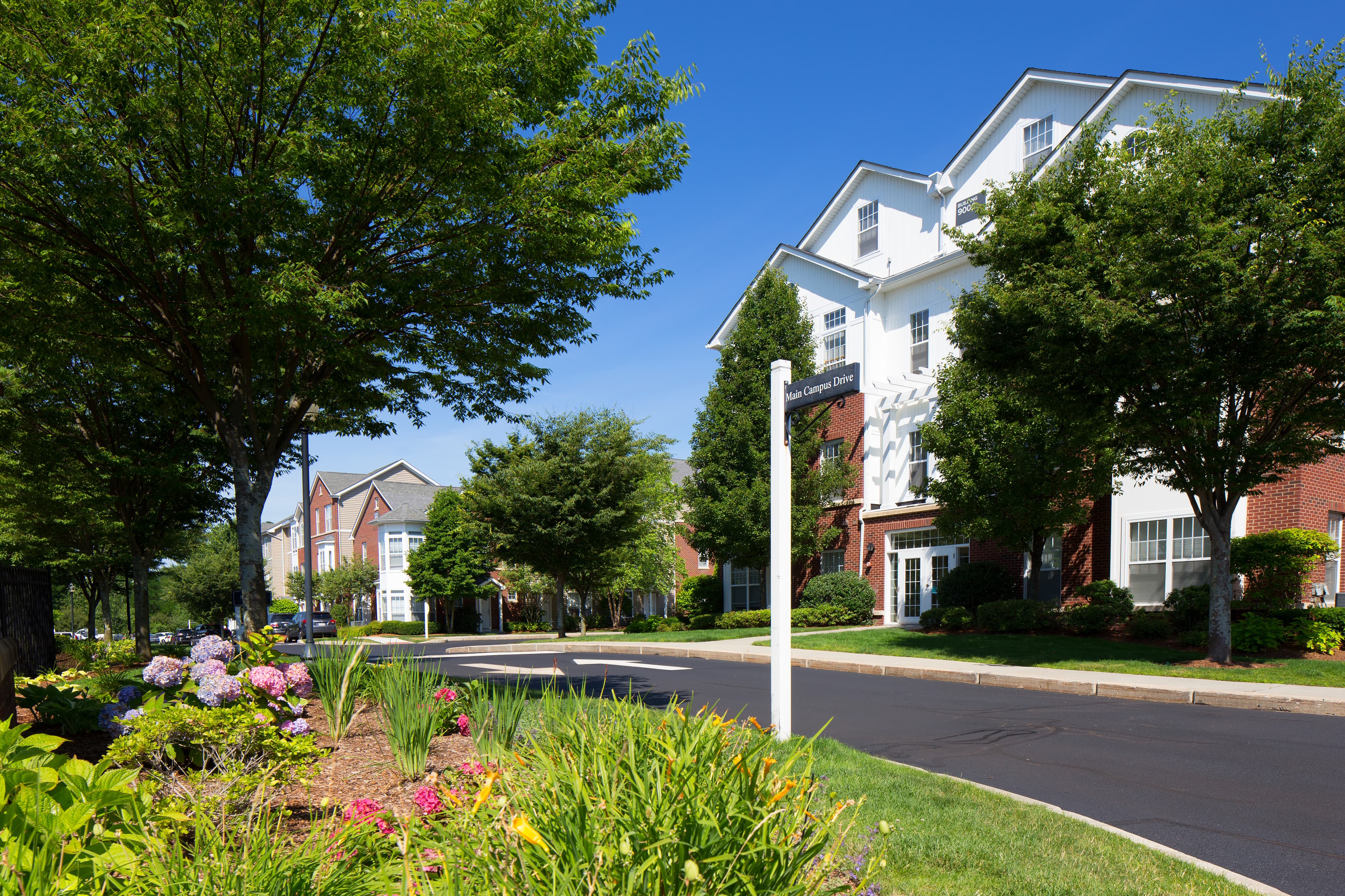 Avalon at Lexington Hills 37 of 37