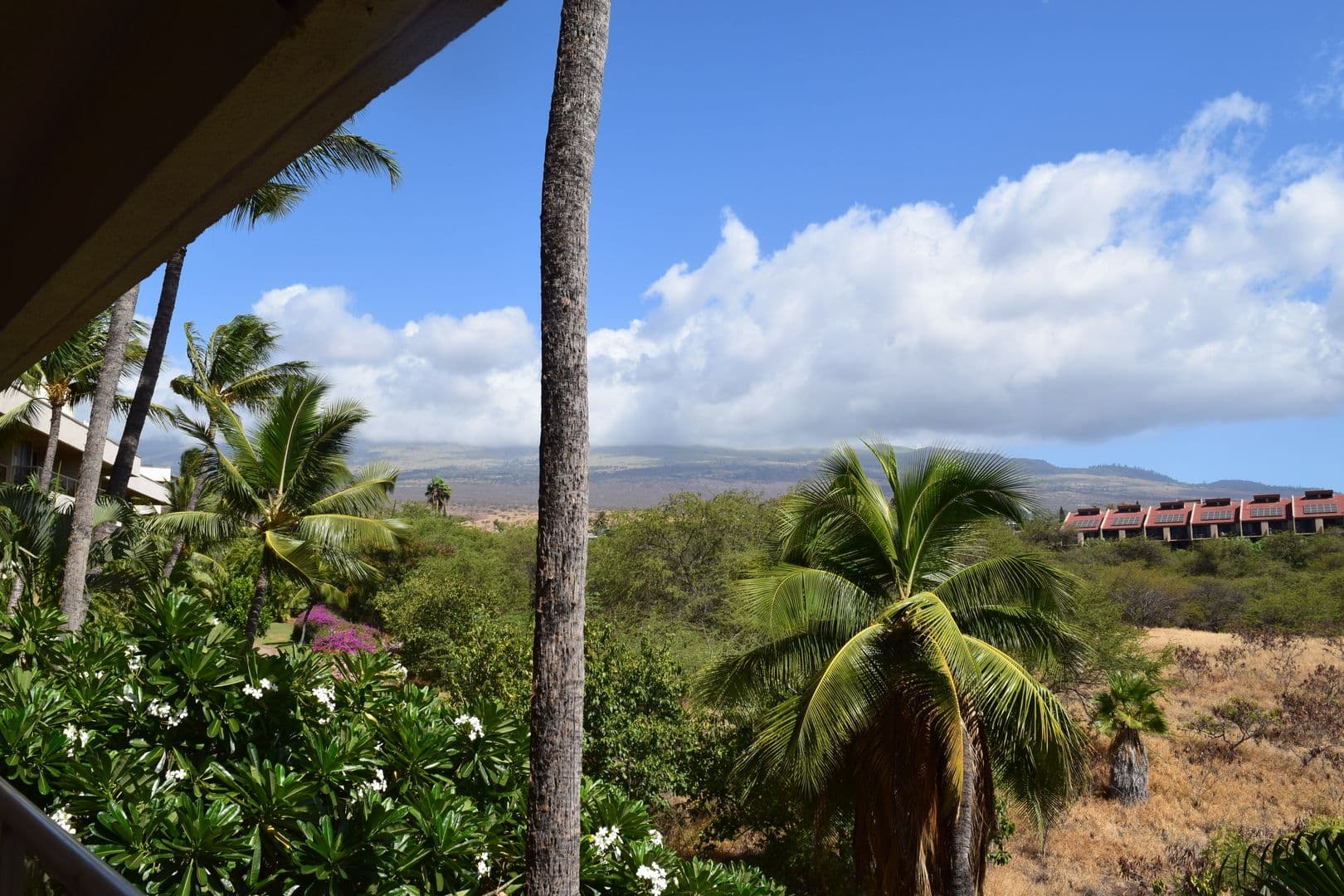 MAUI4856 2 of 10