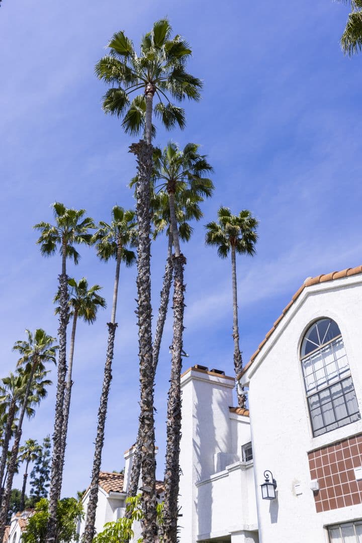 Luxury Living at it's Best! 10 of 13