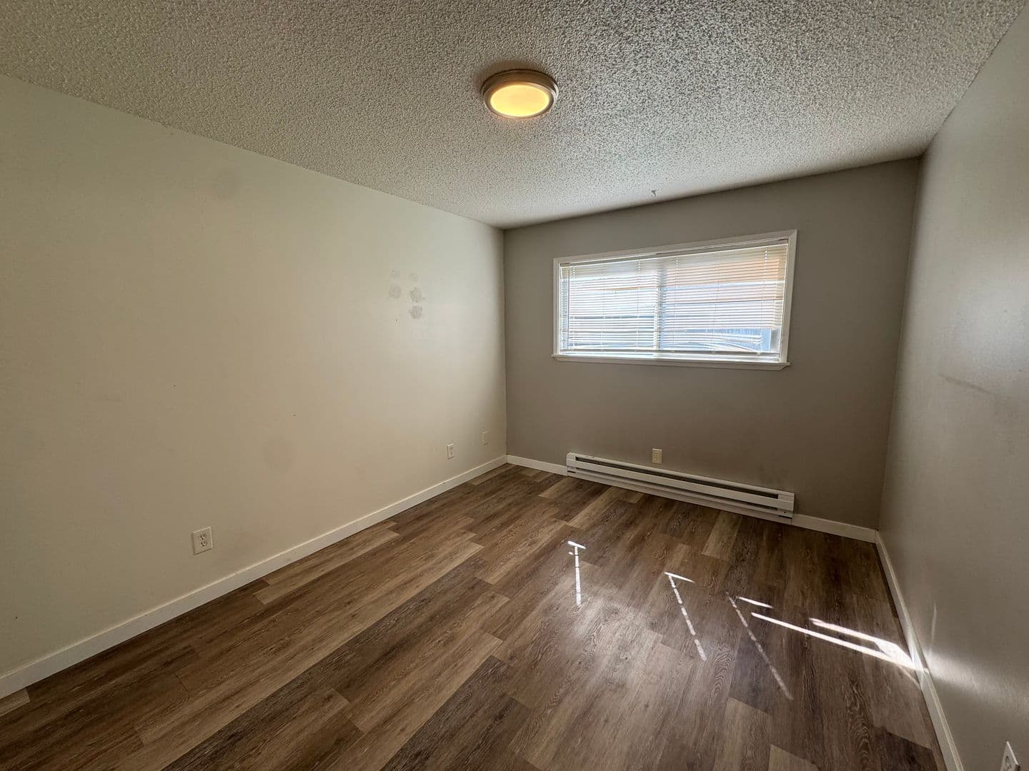Pine Villa Apartments 3 of 18