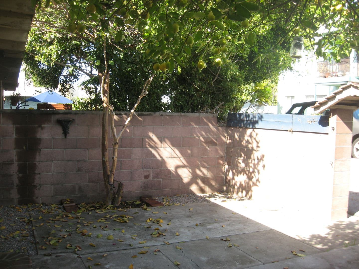 ~ Beautiful and Spacious 1 bd/1bath in Santa Monica ~ Move in Special 4 of 14