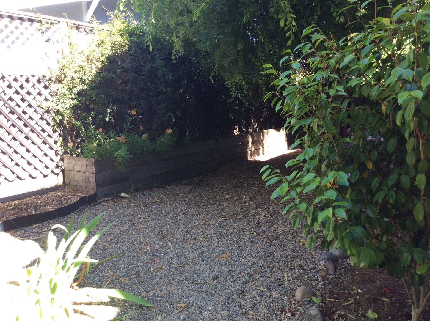 1 Berkeley Ct 15 of 19