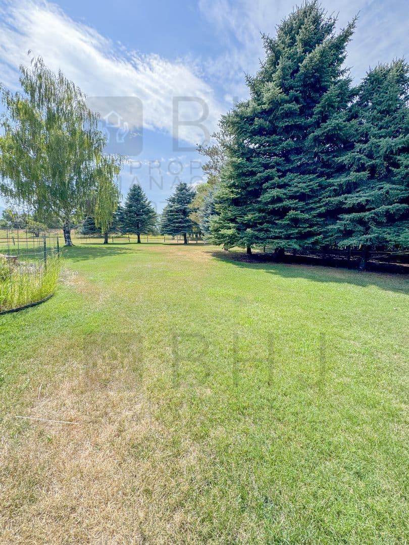 21 Mills Ln 63 of 66