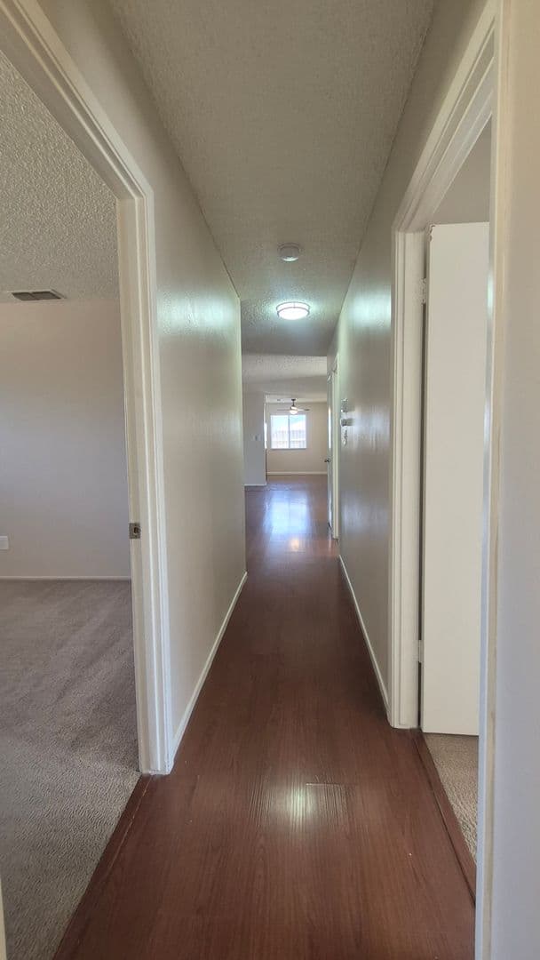 Hayward Drive (7338) 8 of 21