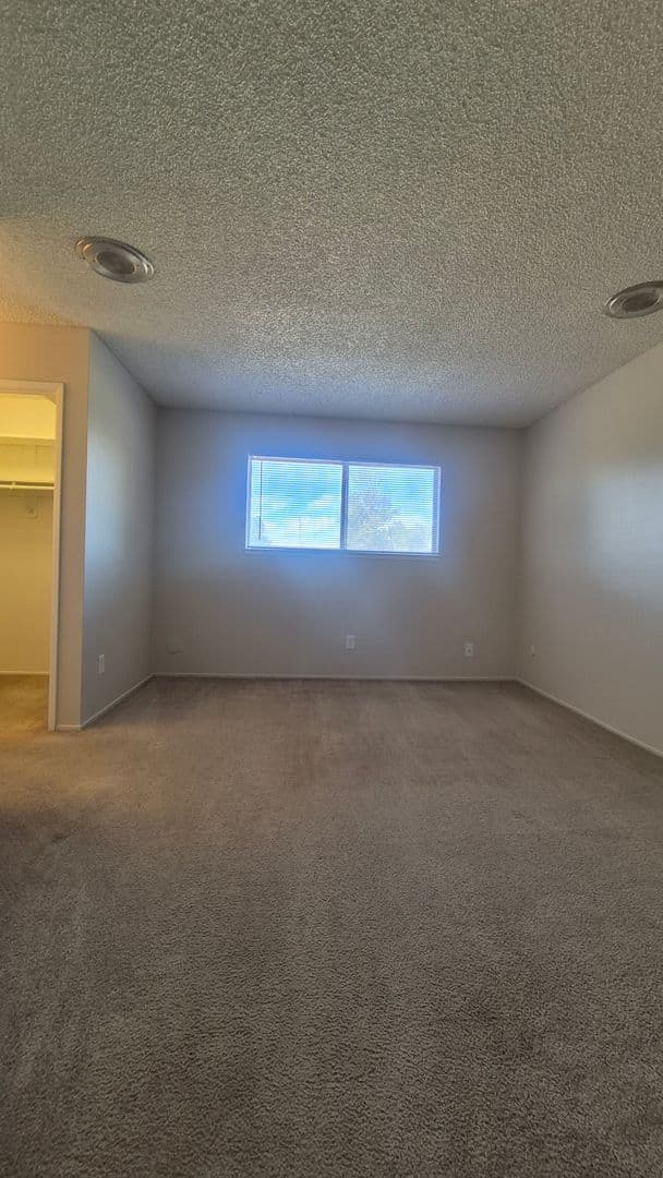 Hayward Drive (7338) 9 of 21