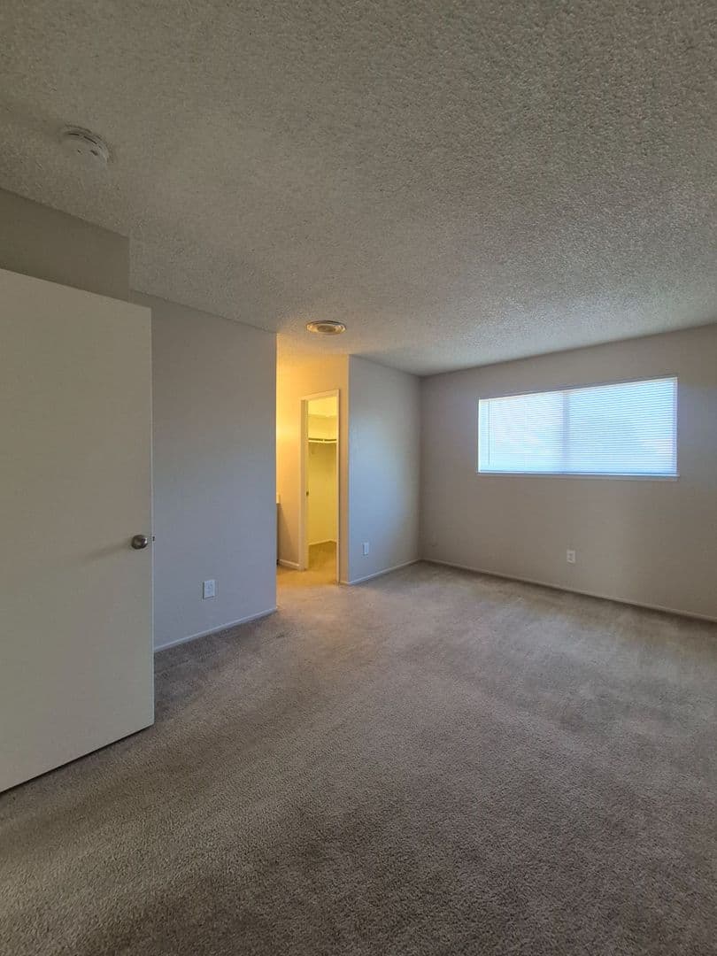 Hayward Drive (7338) 6 of 21