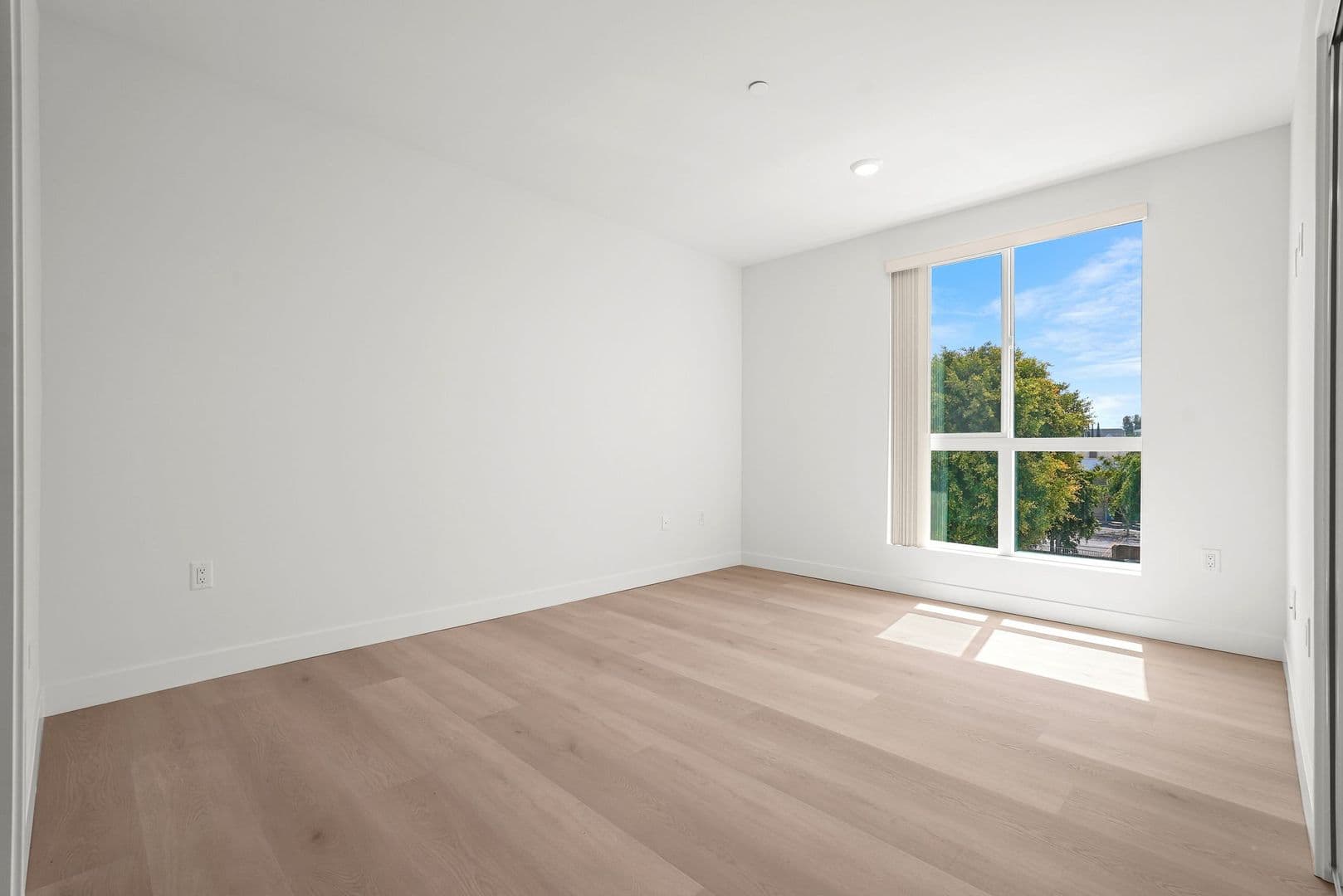 The Rosenell 8 of 15