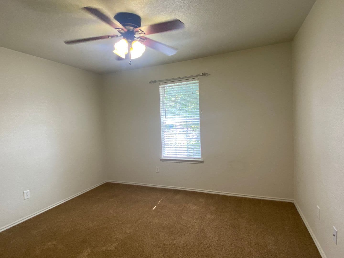 206 Burnham Dr, Temple 14 of 18