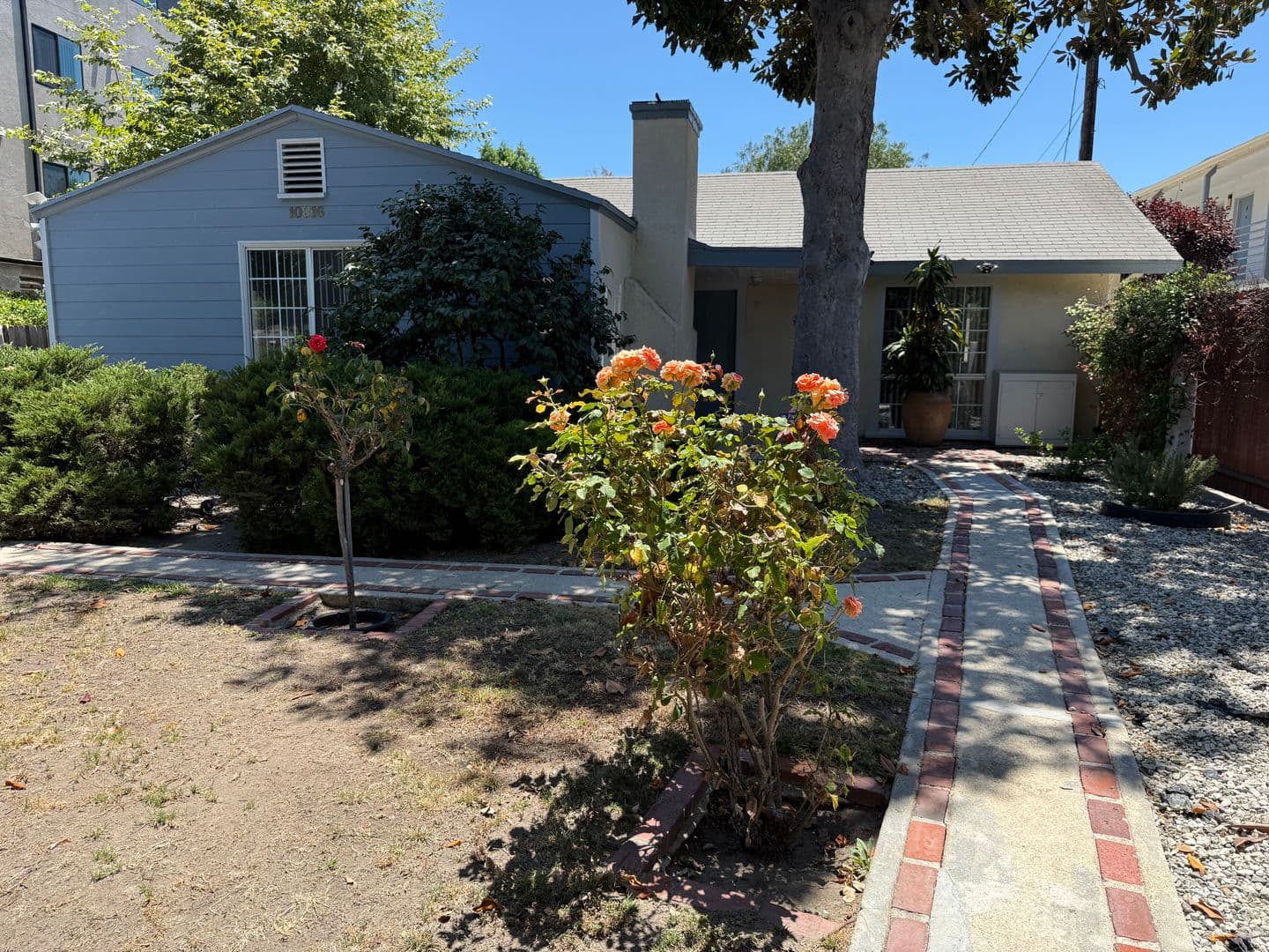 BLIX- Alpaca Apartments 4 of 25