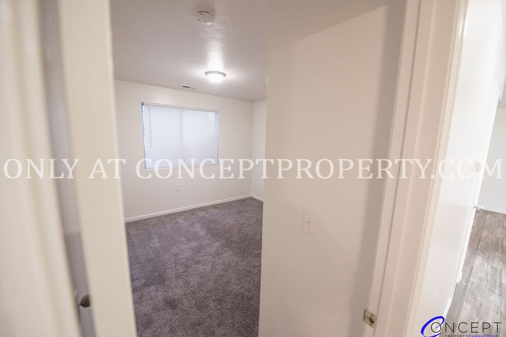 Bentwood 19 of 40