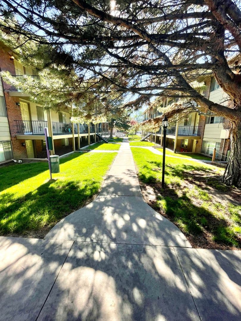 Arbor Lane 26 of 29