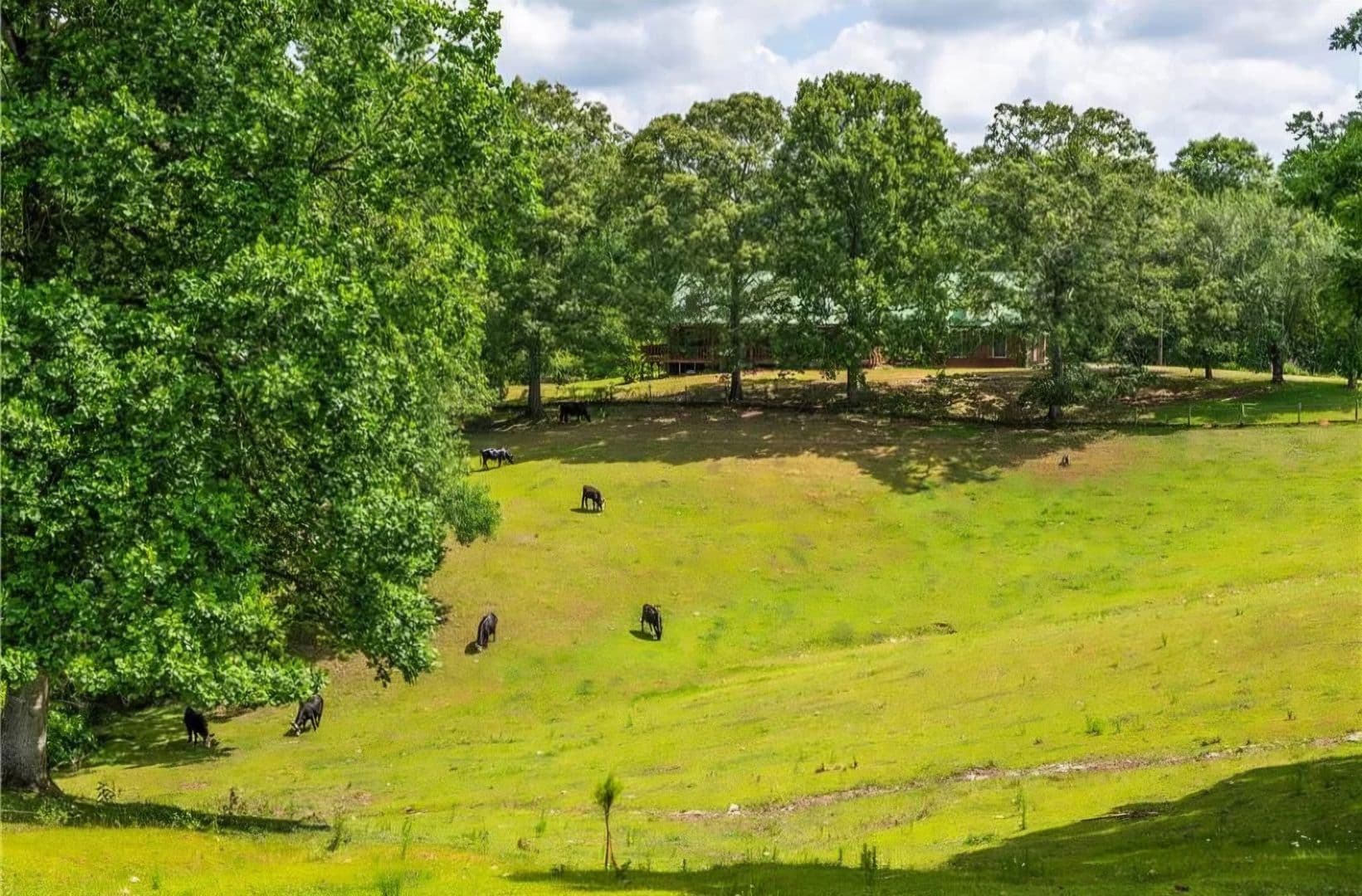 Ball Ground Farm 5 of 8