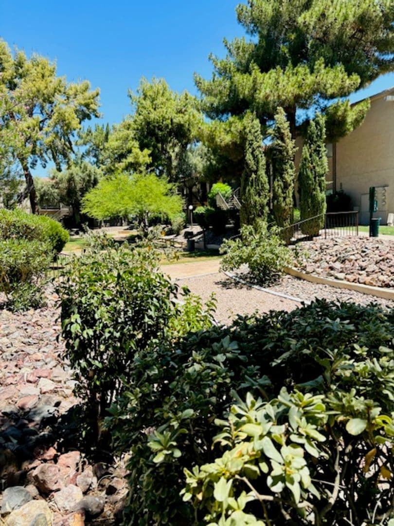 Desert Springs Apartments 43 of 51