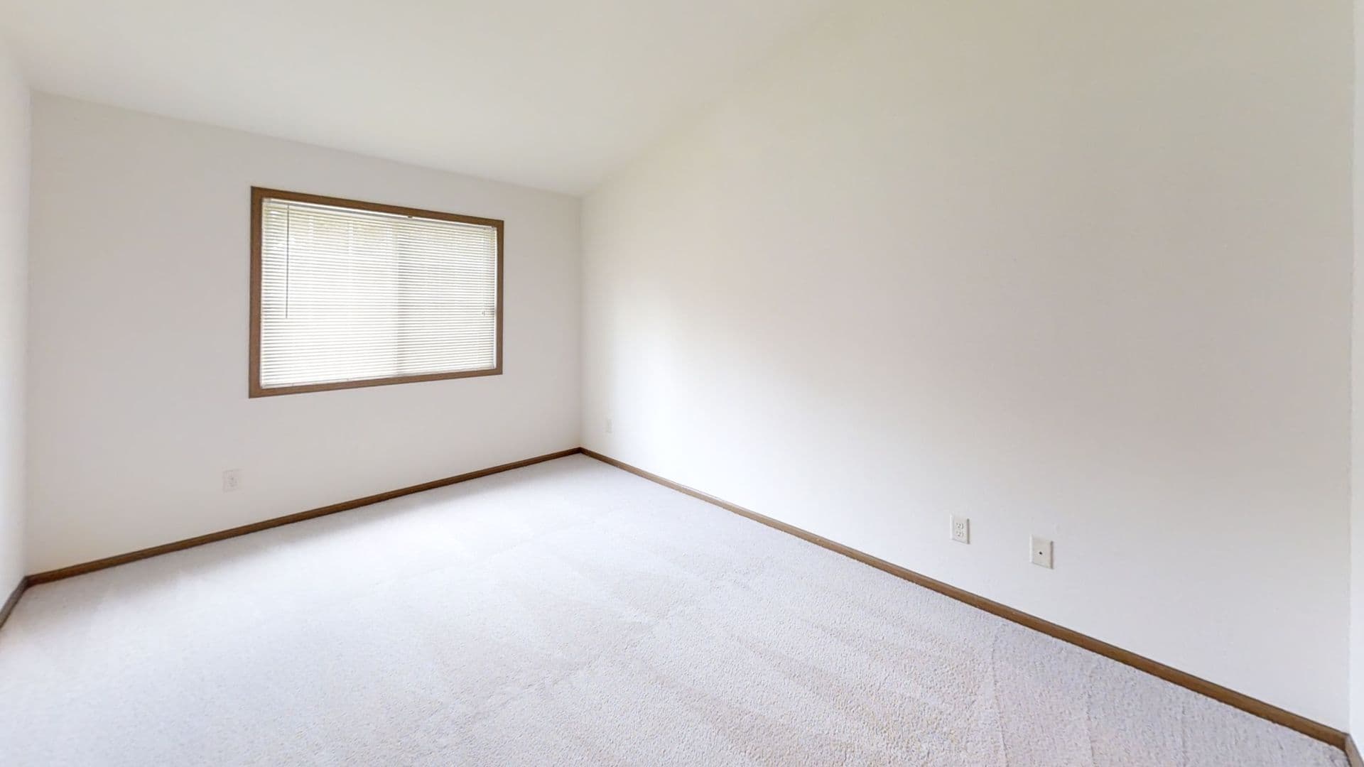 RENOVATED Condo Style Lower 2 Bedroom 2 Bathroom Apartment 9 of 11