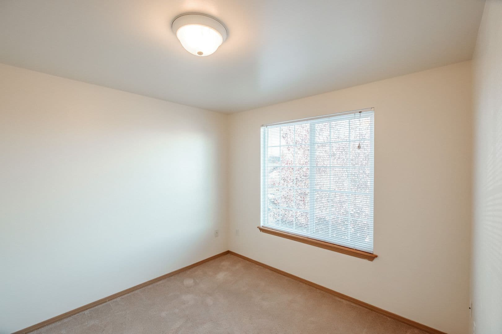 WON Lexington Townhomes 13 of 17