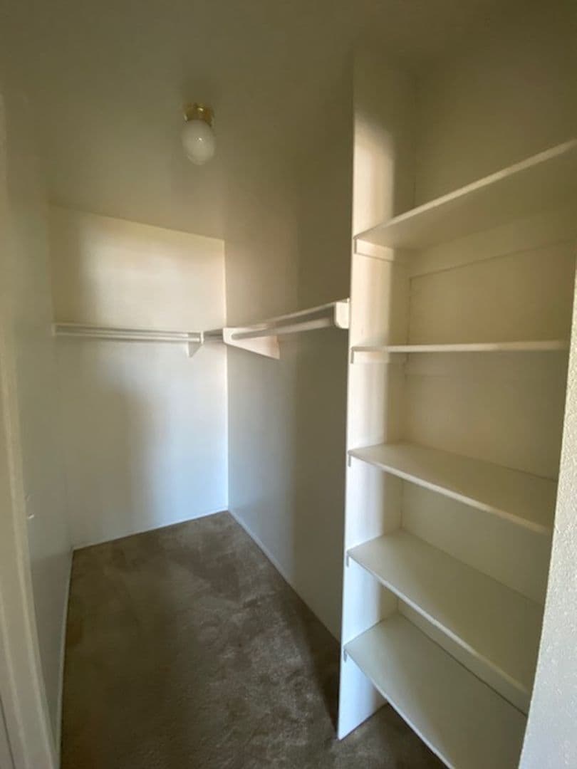 Morley Street Apartments 8 of 10