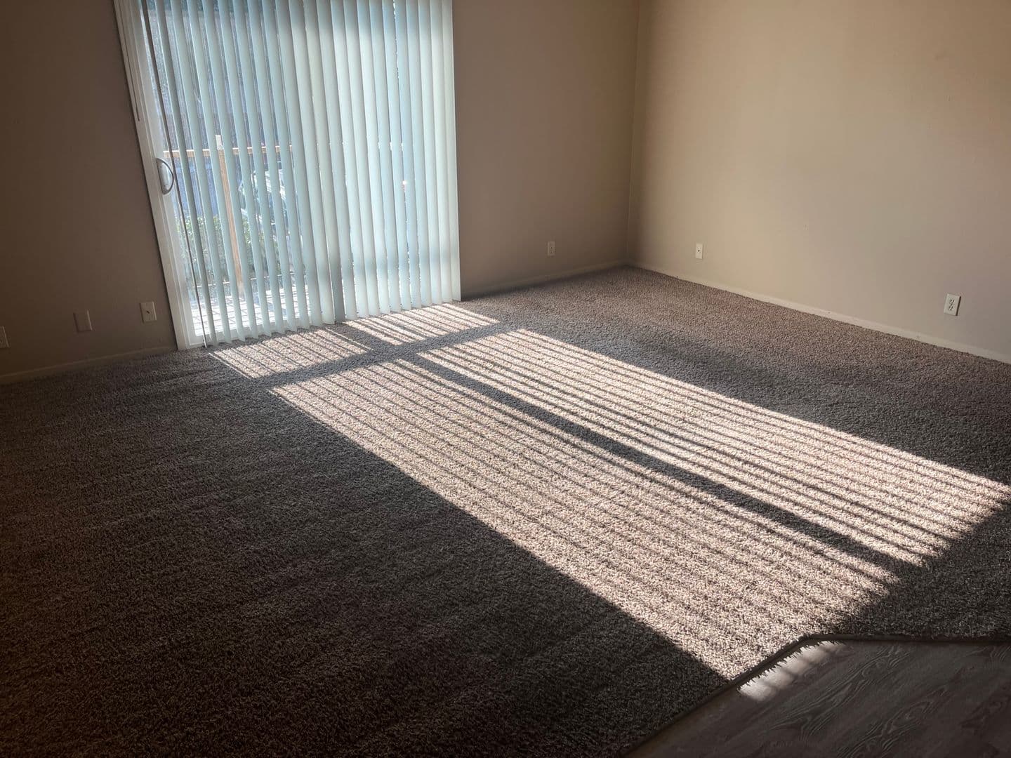 Shadow Ridge Apartments 3 of 14