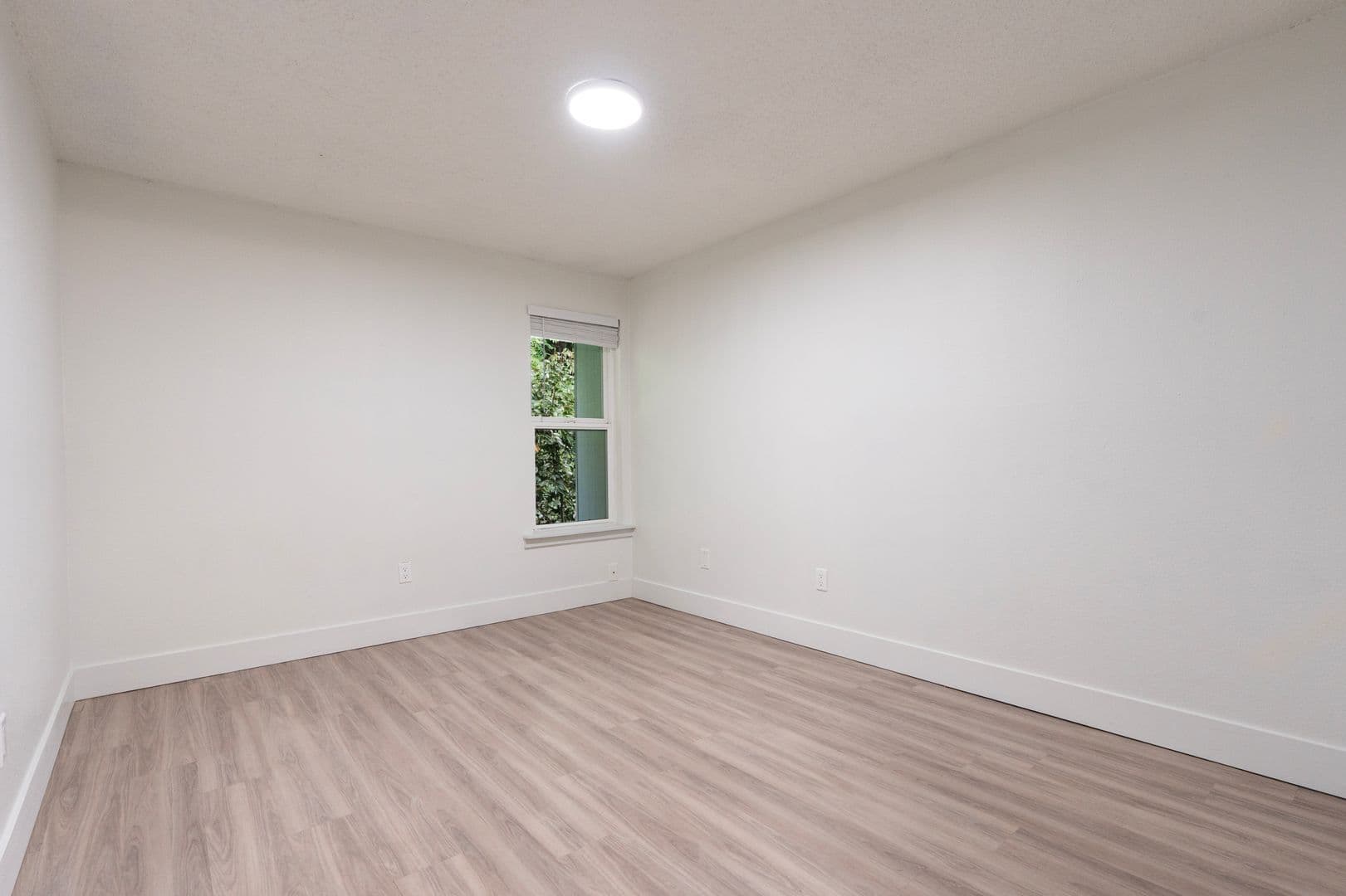 Cedar Lane 6 of 17