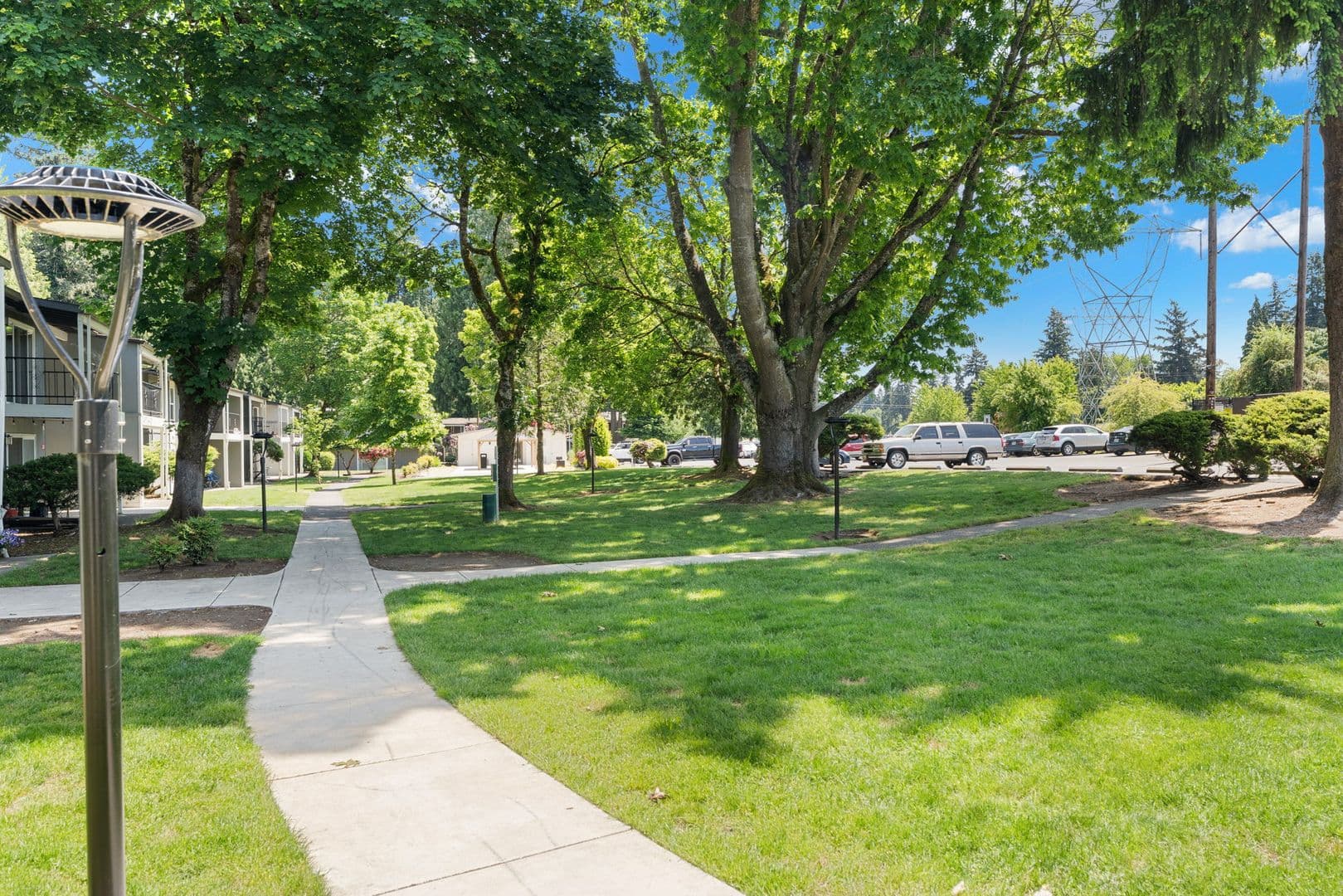 Cedar Lane 12 of 17
