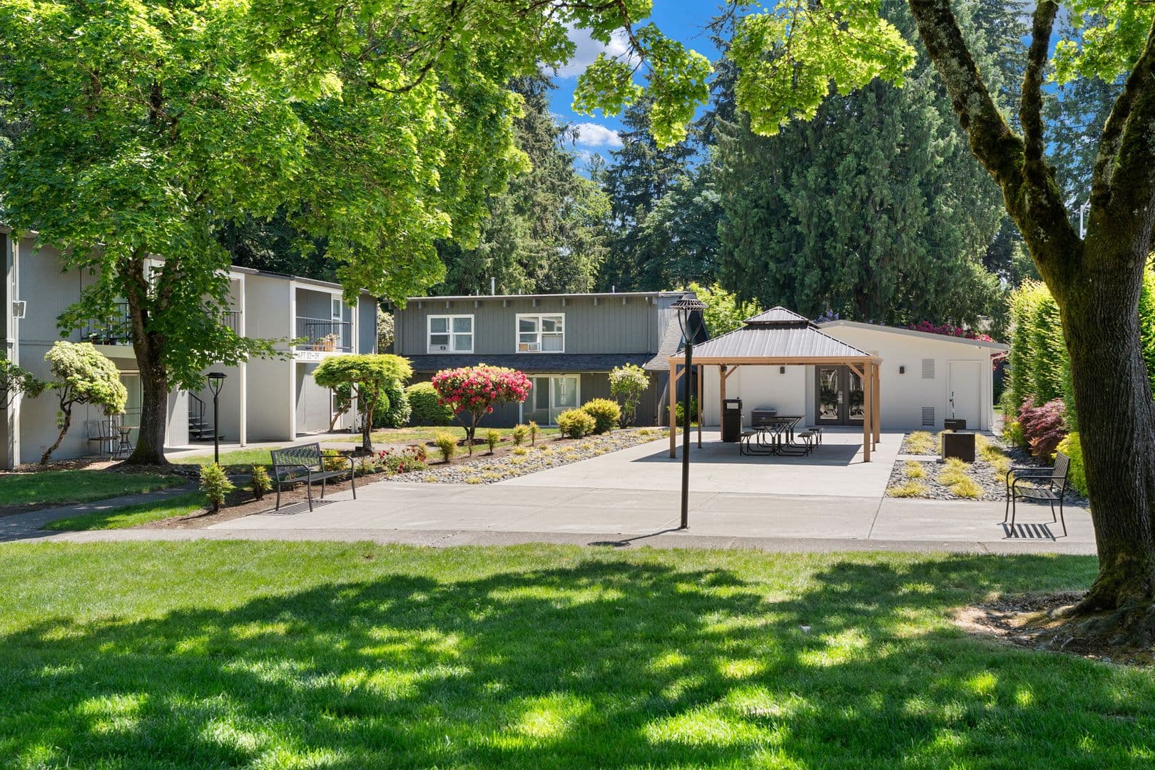 Cedar Lane 15 of 17