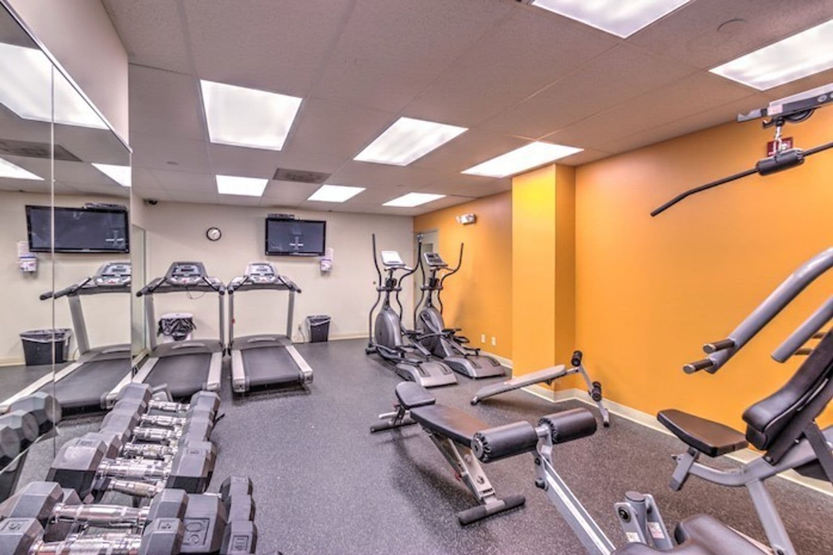 4616 Lindell Blvd. (Carleton Apt) 7 of 8