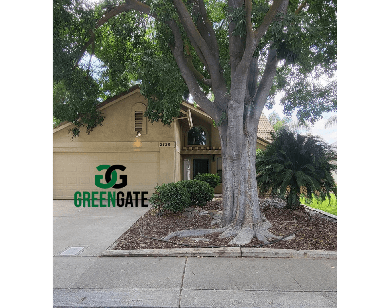 2428 Woodvale Dr. 1 of 52