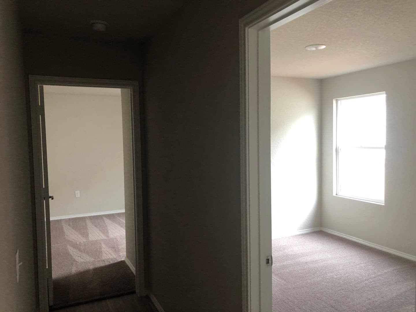 Ashworth Blvd-13431 6 of 18