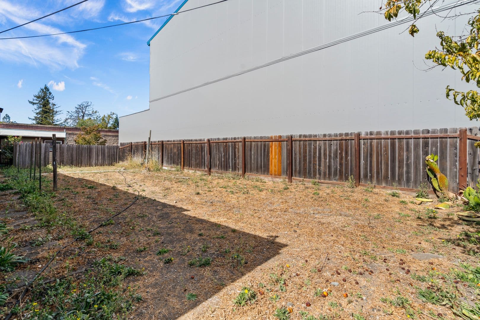 Las Flores Apartments 3 of 7
