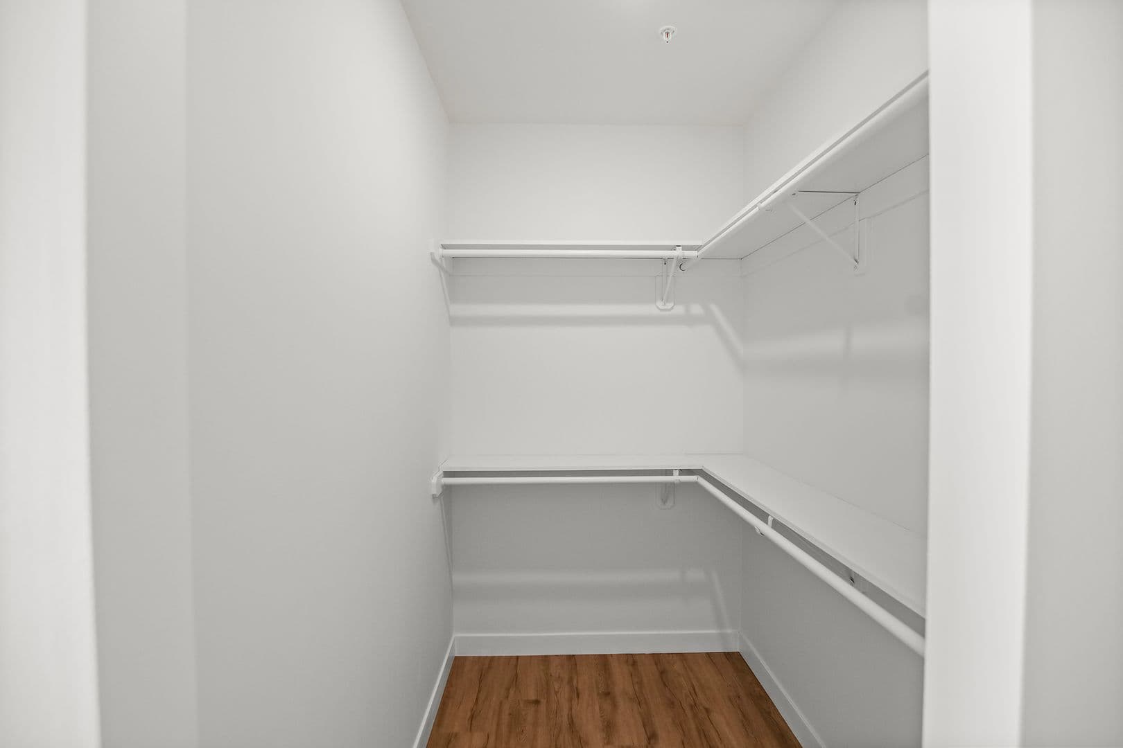 The Earl Apartments 214 of 296