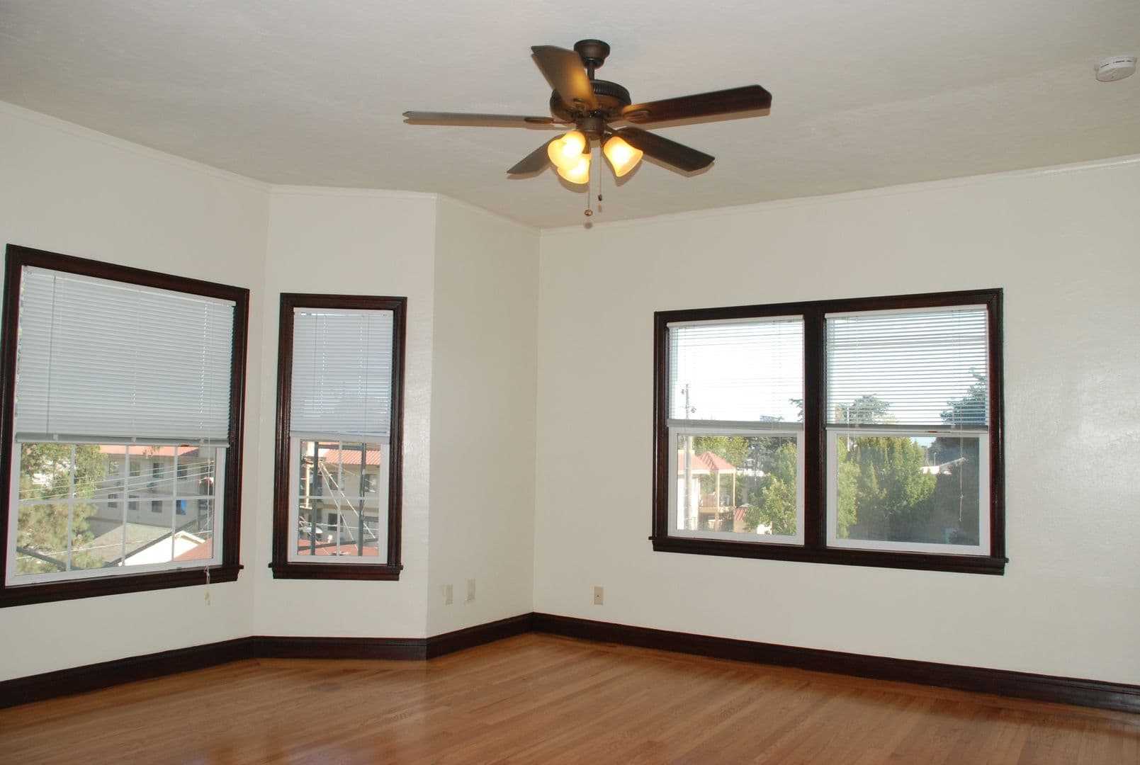 The Patricia Apartments 3 of 14
