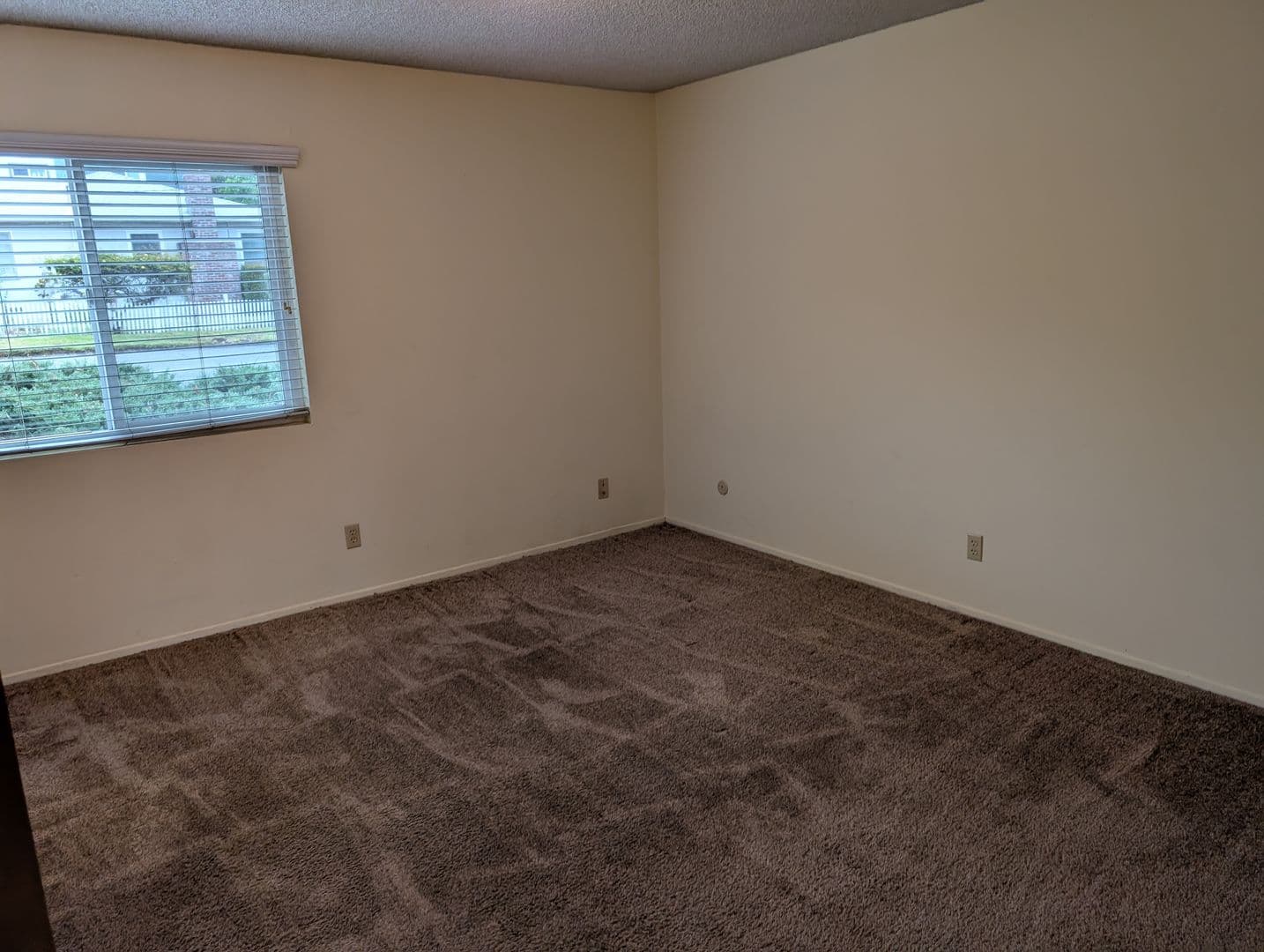 2BR 2BA Walking Distance to Campus with Parking 9 of 12