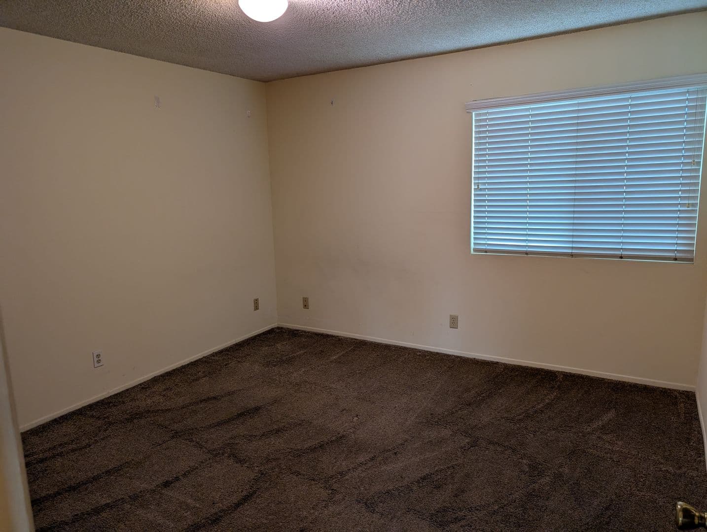 2BR 2BA Walking Distance to Campus with Parking 12 of 12