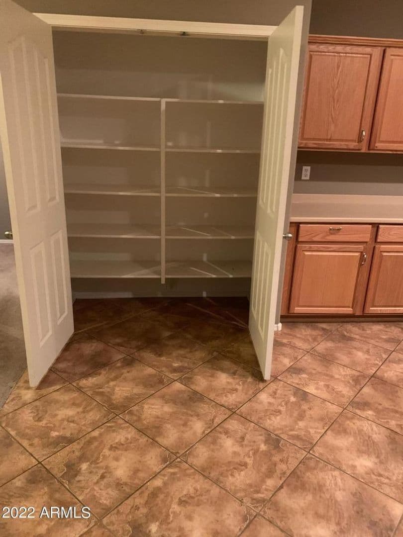 35488 Shorthorn 9 of 10