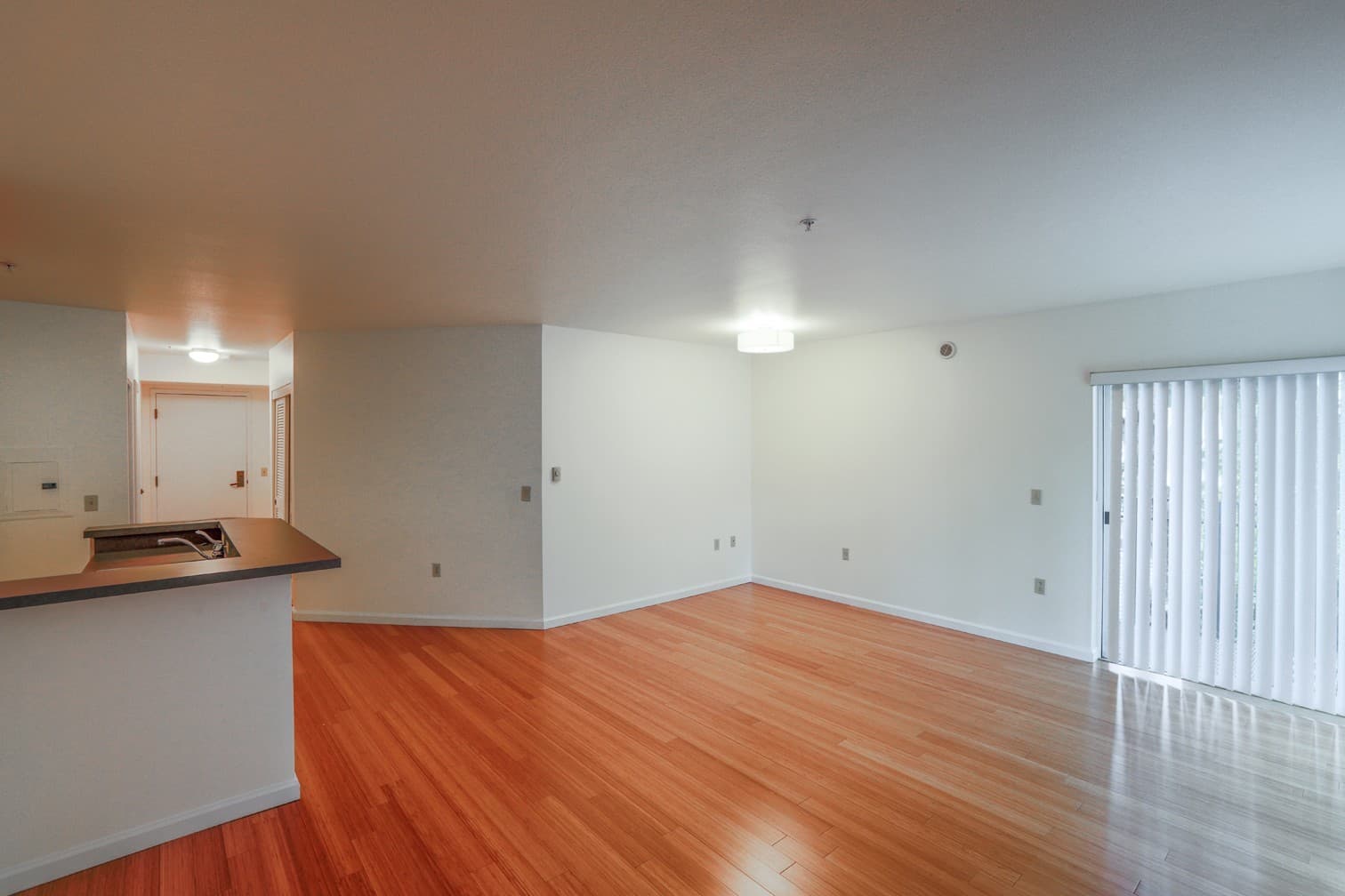 BARCELONA APARTMENTS (MCM08) 5 of 20