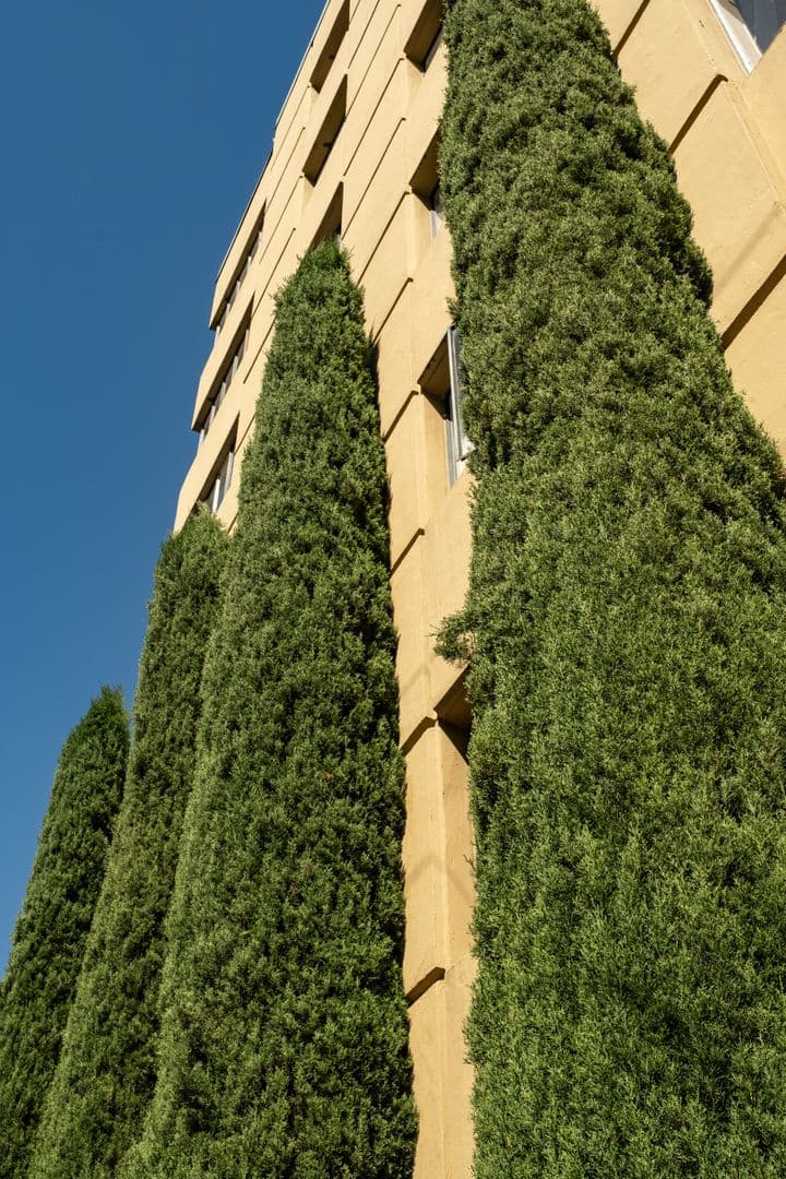 ROSE PLAZA APARTMENTS (RISI01) 12 of 26