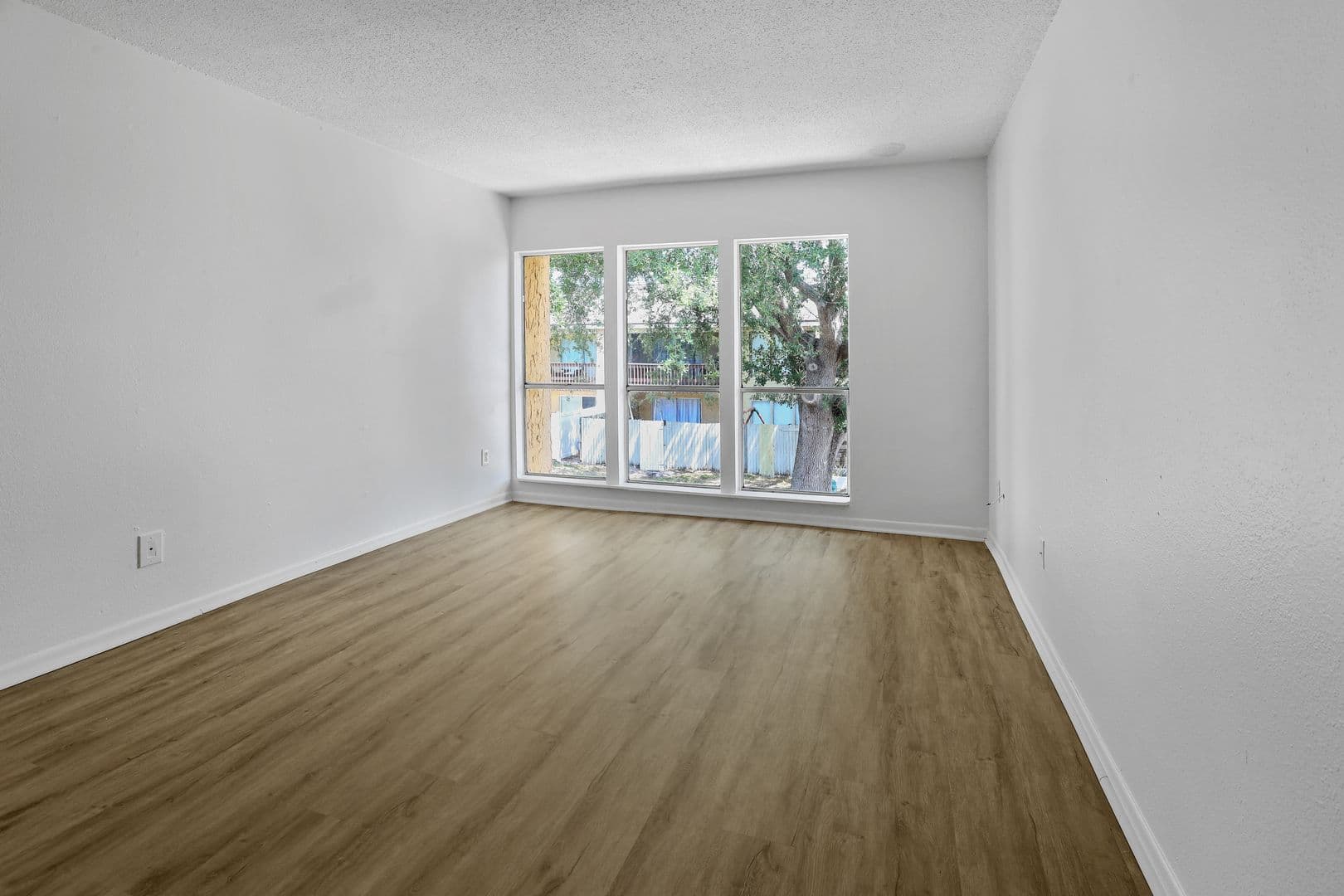 3461 Clark Rd #259 8 of 18