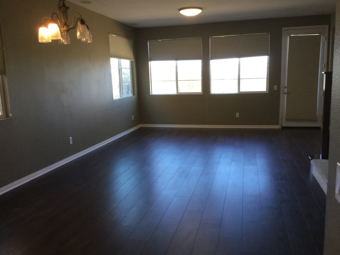 Laroda Ln 3 of 15