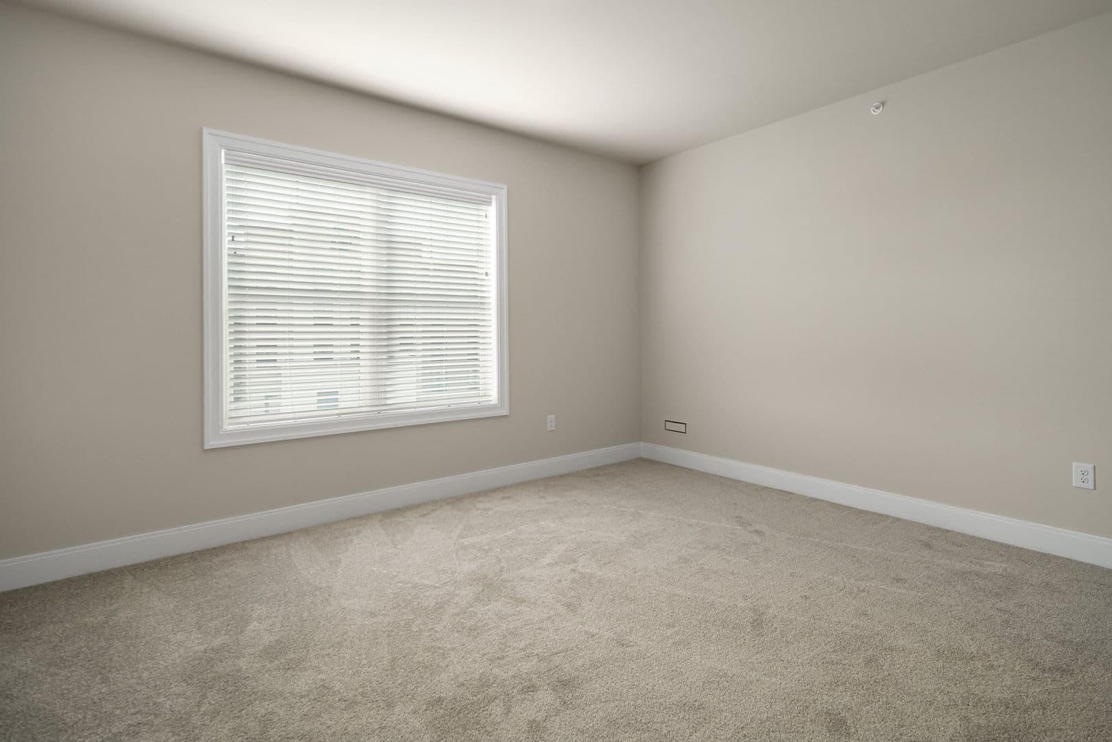 Ready Now! Spacious and Sleek 2 Bed, One Bath Flat in Guilderland, NY 60 of 81