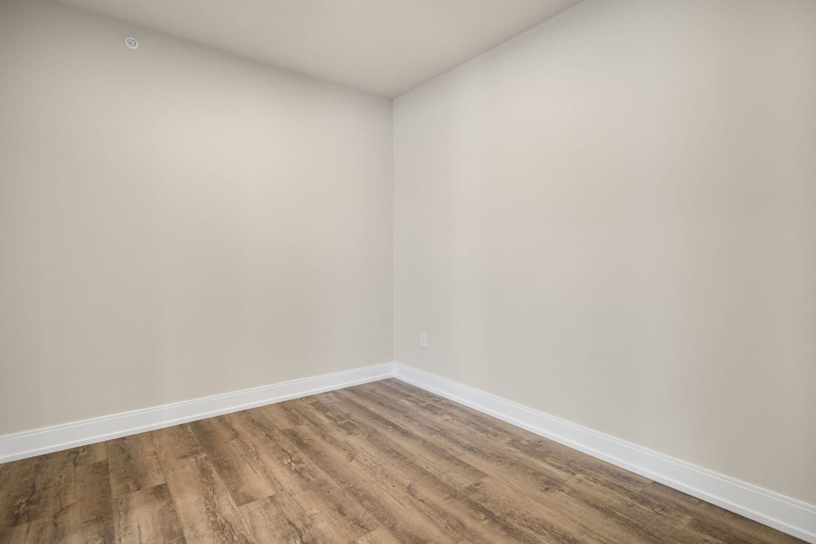 Ready Now! Spacious and Sleek 2 Bed, One Bath Flat in Guilderland, NY 59 of 81
