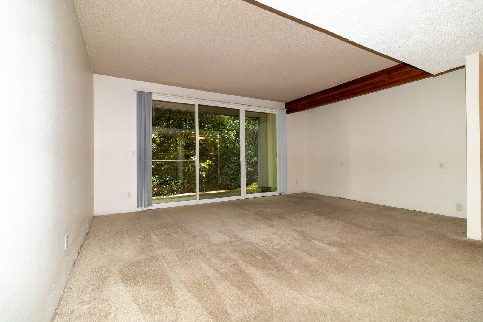 Lair Hill Apartments-456-233B 7 of 14