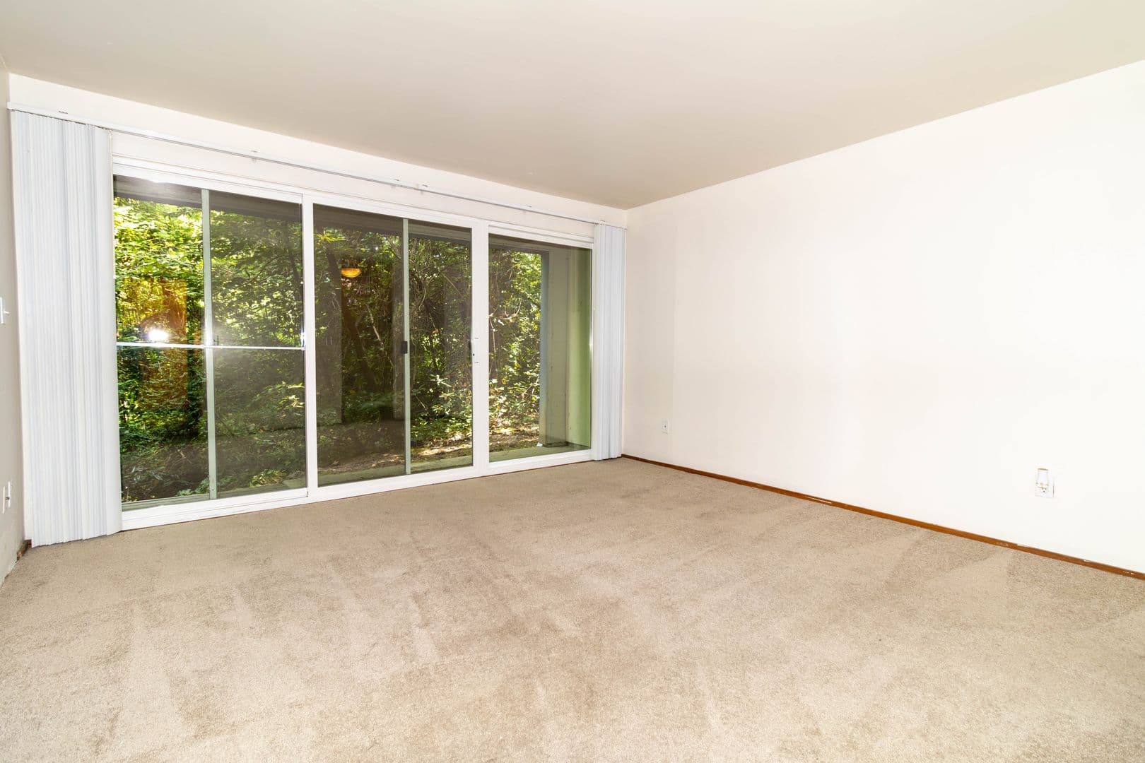 Lair Hill Apartments-456-233B 8 of 14