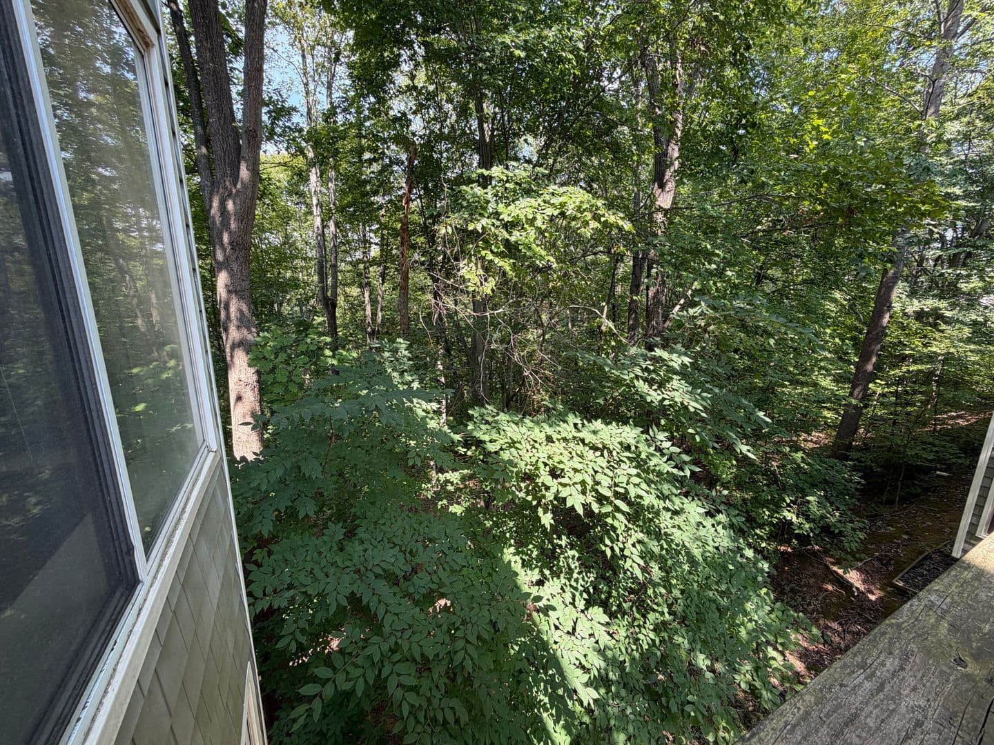 1250 Clifden Green 15 of 27