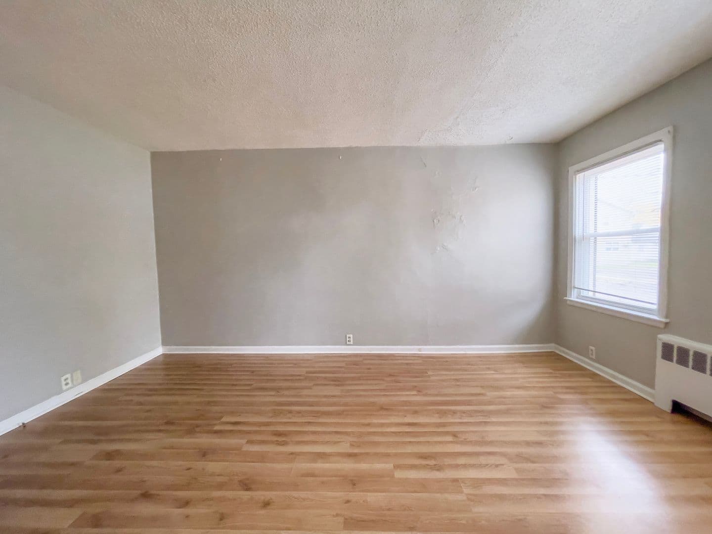 Cozy 1 bedroom, Close to Campus 3 of 10