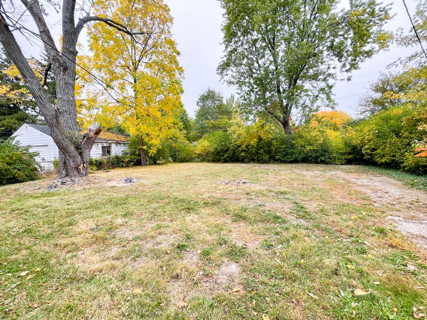 1408 N Mann Ave (88 Degree, LLC) 4 of 33