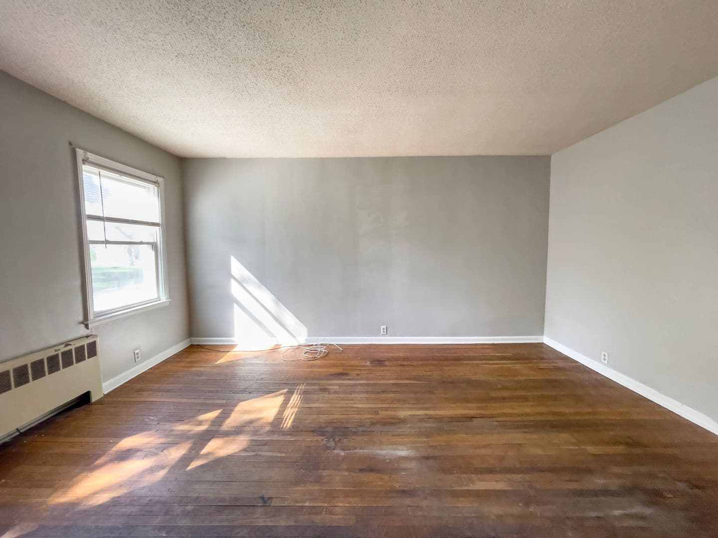 Cozy 1 bedroom, Close to Campus 2 of 13