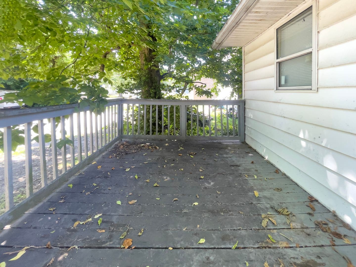 815 &amp; 817 W University Ave (Cardinal Rentals, LLC) 2 of 35