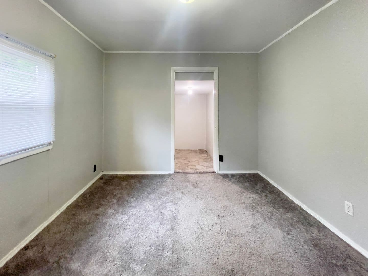 1405 W Jackson St (Cardinal Rentals, LLC) 49 of 55