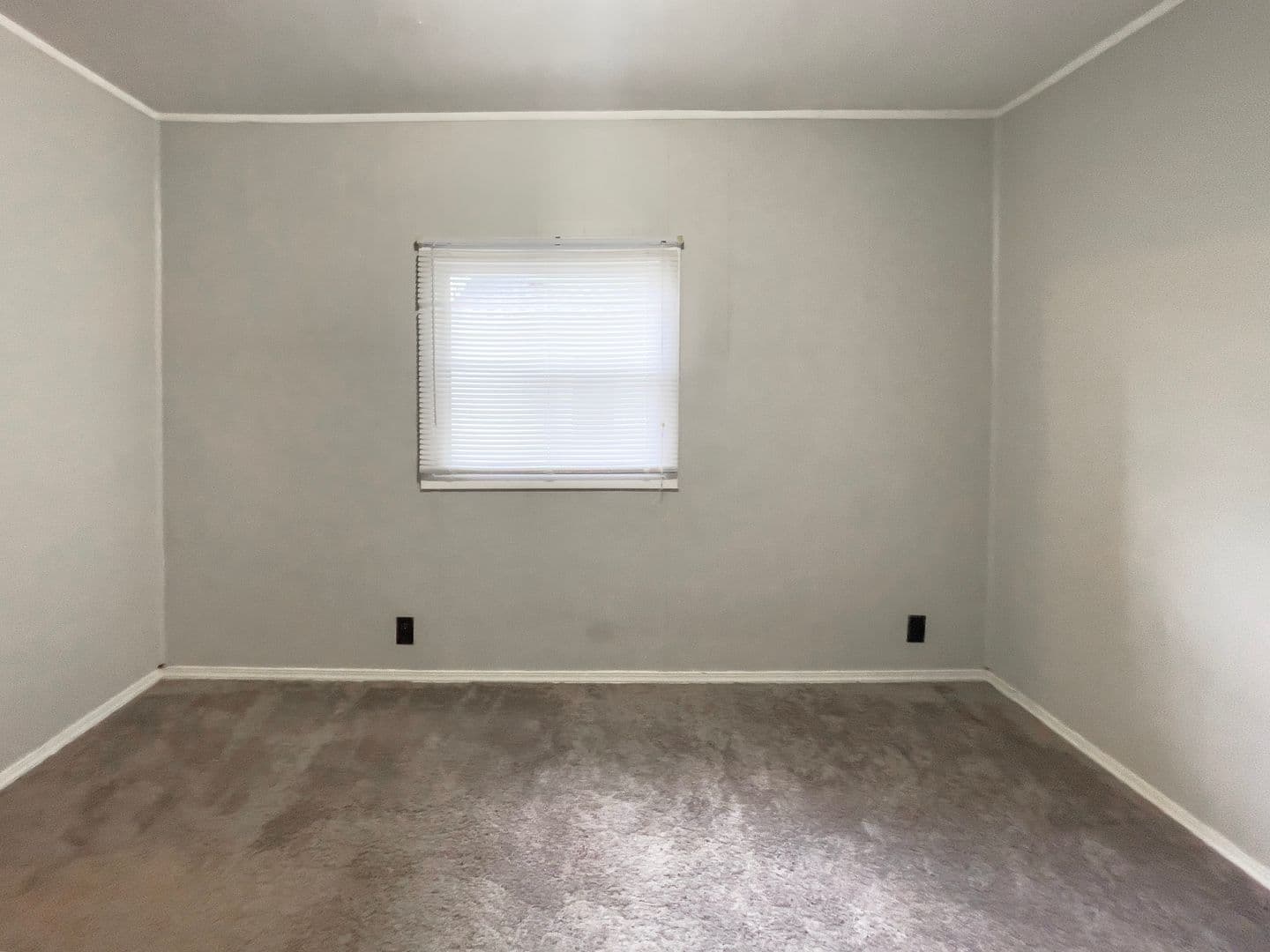 1405 W Jackson St (Cardinal Rentals, LLC) 48 of 55
